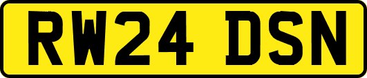 RW24DSN