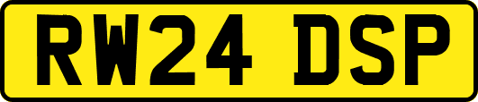 RW24DSP