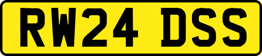RW24DSS