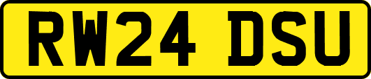 RW24DSU