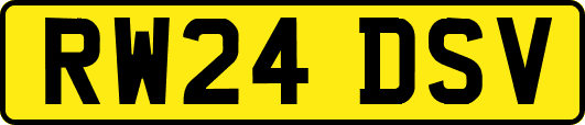 RW24DSV