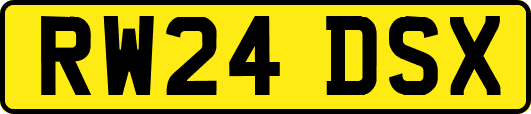 RW24DSX