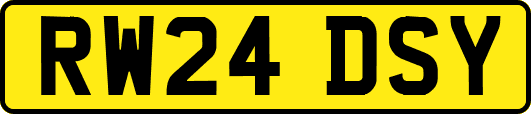 RW24DSY
