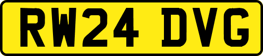 RW24DVG
