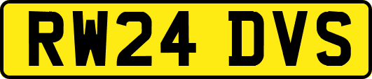 RW24DVS