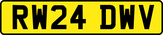 RW24DWV