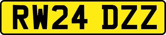 RW24DZZ