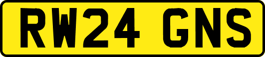 RW24GNS