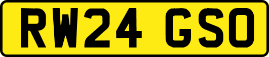 RW24GSO