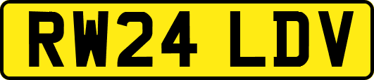 RW24LDV