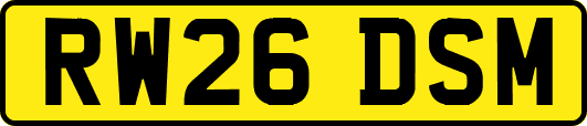 RW26DSM