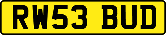 RW53BUD