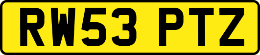 RW53PTZ