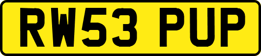 RW53PUP