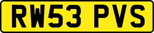 RW53PVS