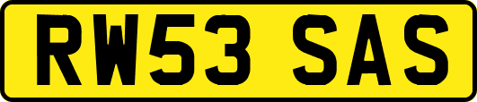 RW53SAS
