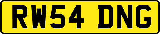 RW54DNG