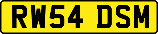 RW54DSM