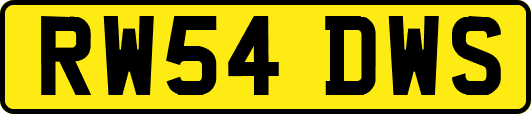 RW54DWS