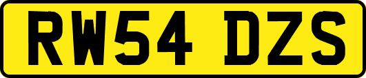 RW54DZS