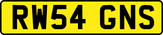 RW54GNS