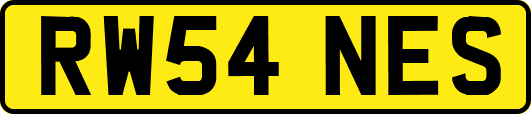 RW54NES