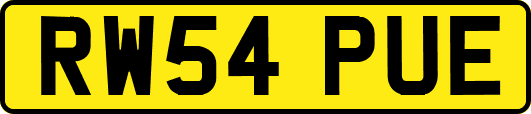 RW54PUE