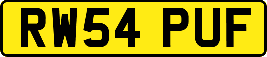 RW54PUF