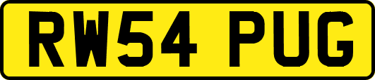 RW54PUG