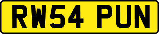 RW54PUN