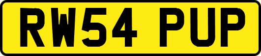 RW54PUP