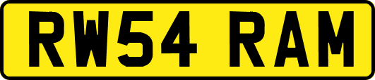 RW54RAM