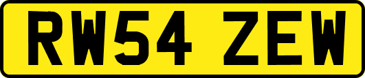 RW54ZEW