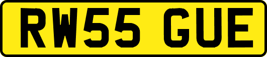 RW55GUE