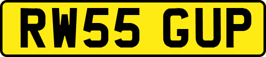 RW55GUP