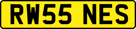 RW55NES