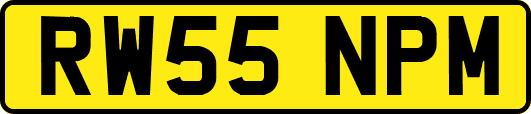 RW55NPM