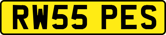 RW55PES