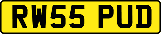 RW55PUD