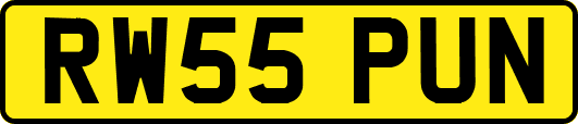 RW55PUN