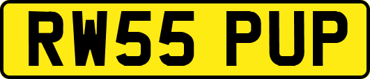 RW55PUP