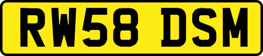 RW58DSM