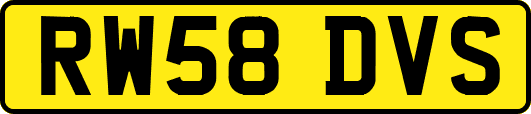 RW58DVS