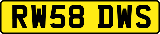RW58DWS