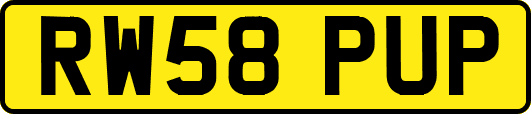 RW58PUP