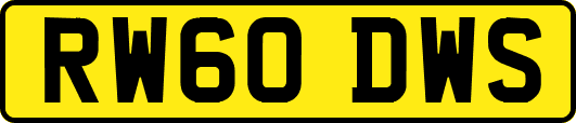 RW60DWS