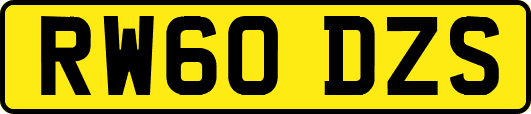 RW60DZS