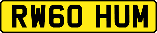 RW60HUM