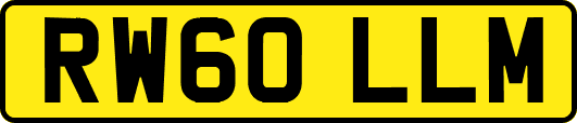 RW60LLM