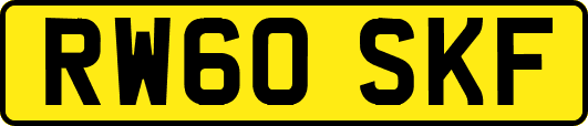 RW60SKF